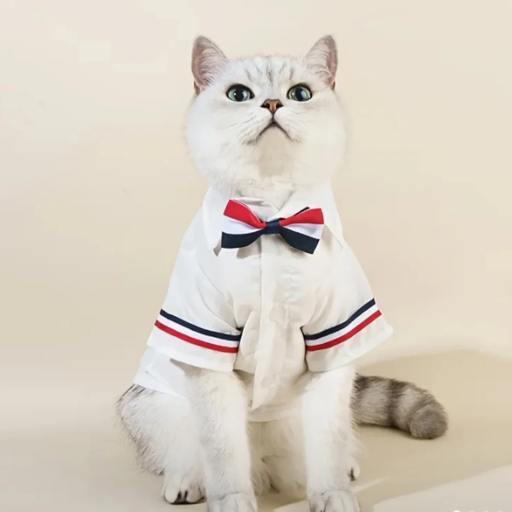 Pet Clothes